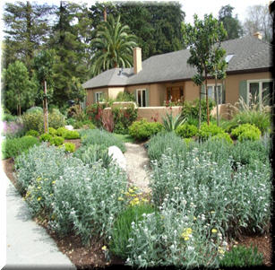 Flower Meadows Garden